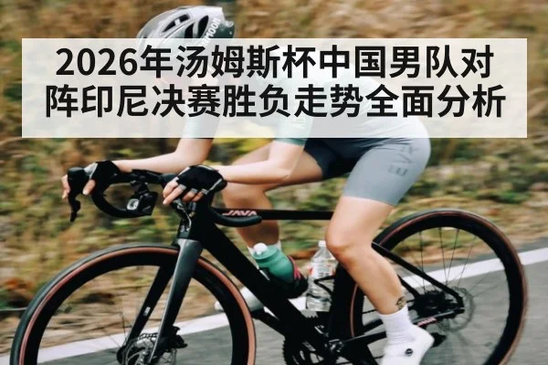 2026年汤姆斯杯中国男队对阵印尼决赛胜负走势全面分析 - hth